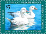 Ross's Geese Junior 2016 $5