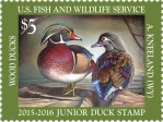 Wood Ducks Junior 2015 $5
